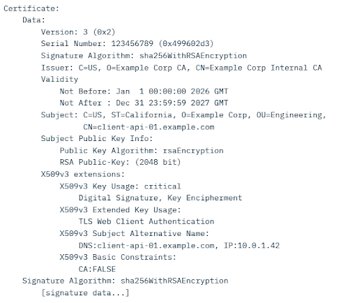 An example of a decoded TLS certificate.