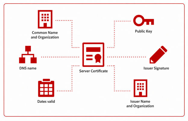 Diagram showing how a server certificate works